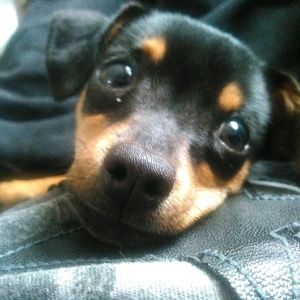 Meet your Posher, Jonathan